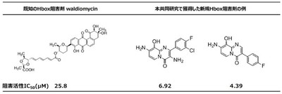 図3 本共同研究で獲得した新規Hbox阻害剤の構造式とヒスチジンキナーゼ(VicK)に対する阻害活性IC50の値。既知のHbox阻害剤のwaldiomycinと比較しています。既知阻害剤より低いIC50は、低濃度で改善された阻害効果があることを意味します。