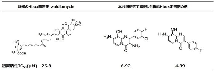 図3 本共同研究で獲得した新規Hbox阻害剤の構造式とヒスチジンキナーゼ(VicK)に対する阻害活性IC50の値。既知のHbox阻害剤のwaldiomycinと比較しています。既知阻害剤より低いIC50は、低濃度で改善された阻害効果があることを意味します。