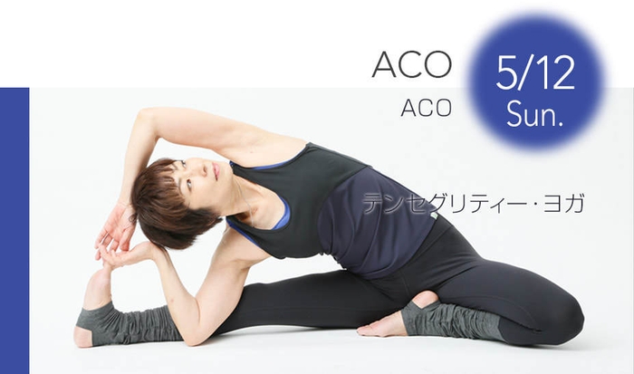 5.12 ACO 先生