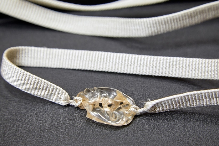 池田由紀子さんの帯留