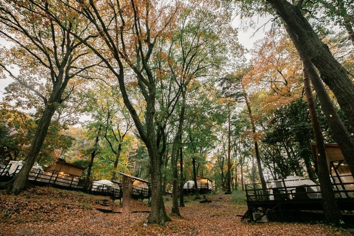 写真(9):宿泊棟の外観