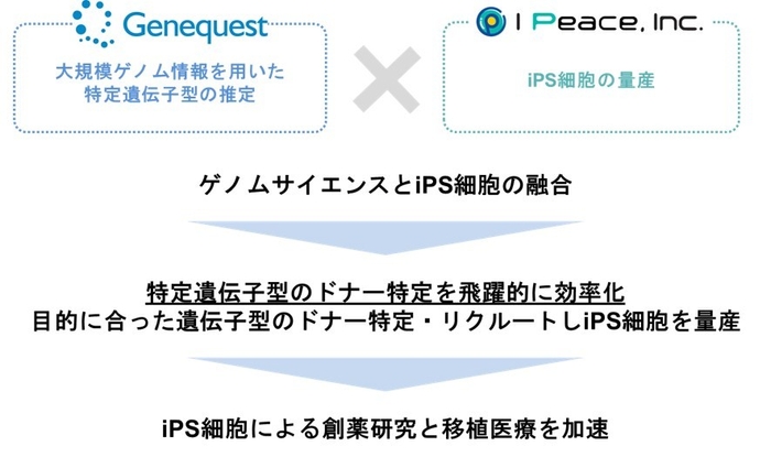 本発表における概要図