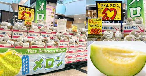 西船橋駅ナカで6/1(月)より開催 『ペリエマルシェ メロン祭り』