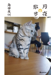 作家・角田光代のほっこり笑顔になる日常を綴った人気エッセイ集 ファン待望の5年ぶり第三弾が発売！ 角田光代『月夜の散歩』