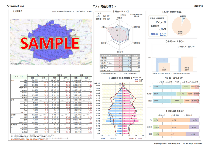 国勢調査レポート