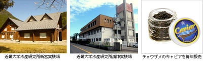 【近畿大学公開講座】　12/6（土） "魚の不思議を学びましょう"（新宮市市民会館：近畿大学水産研究所主催）