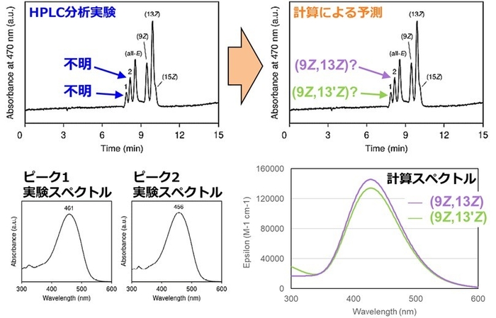 図５： 量子化学計算によるアスタキサンチンHPLC分析実験の未帰属ピークの予測