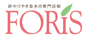 キテキテ府中 スペシャルセール： 10月20日㊎～26日㊍