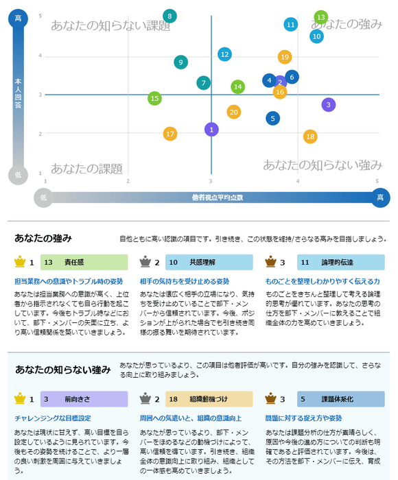 360度評価レポート(一部抜粋)