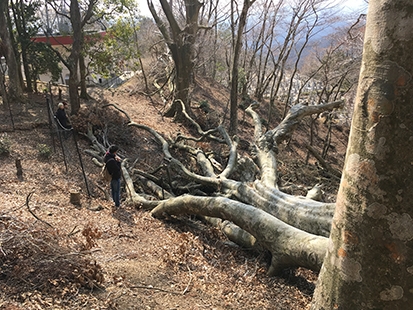面向北方的方向,是回家的地方