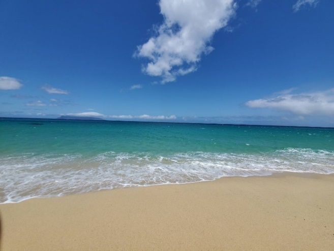 屋久島から見える海