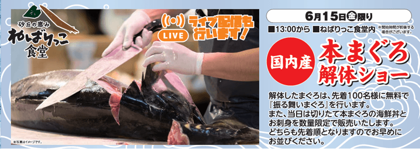 本マグロの解体ショー