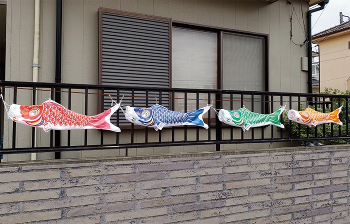 壁やフェンスに(0.8mセット)