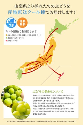 産地直送クール便でお届け
