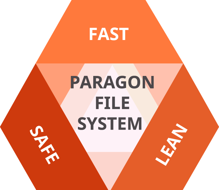 Paragon File System