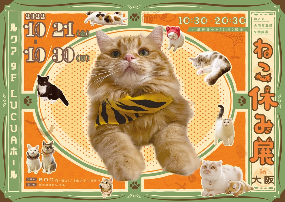 キービジュアル(横)