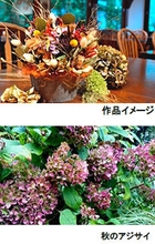 上)作品イメージ、下)秋のアジサイ