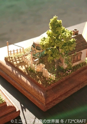 展示作品5
