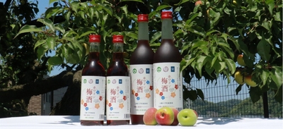 赤ワイン梅酒