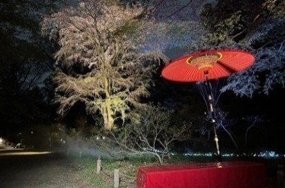 フォトスポット（イメージ）