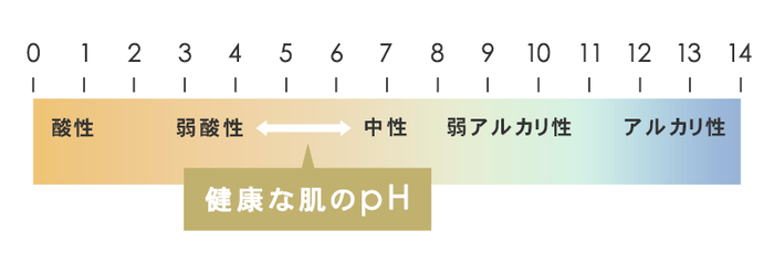 健康な肌のpH