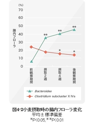 図4-2 小麦摂取時の腸内フローラ変化