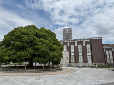 京都大学