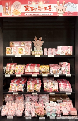 岩下の新生姜コーナー