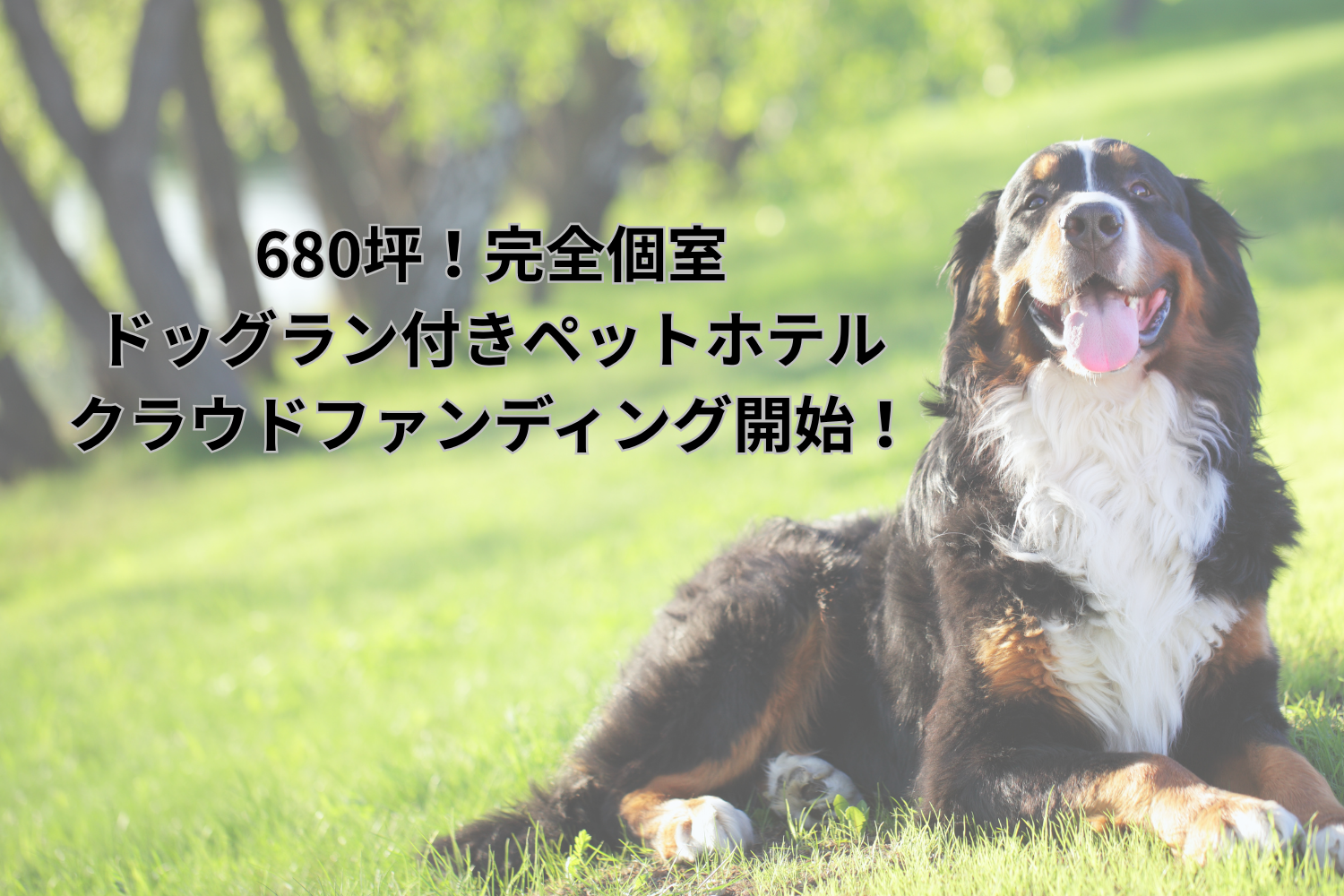 敷地面積680坪！完全個室ペットホテル＆トレーニング施設を建設。広大な土地を囲う柵代と外構費を募集するクラウドファンディングを開始。