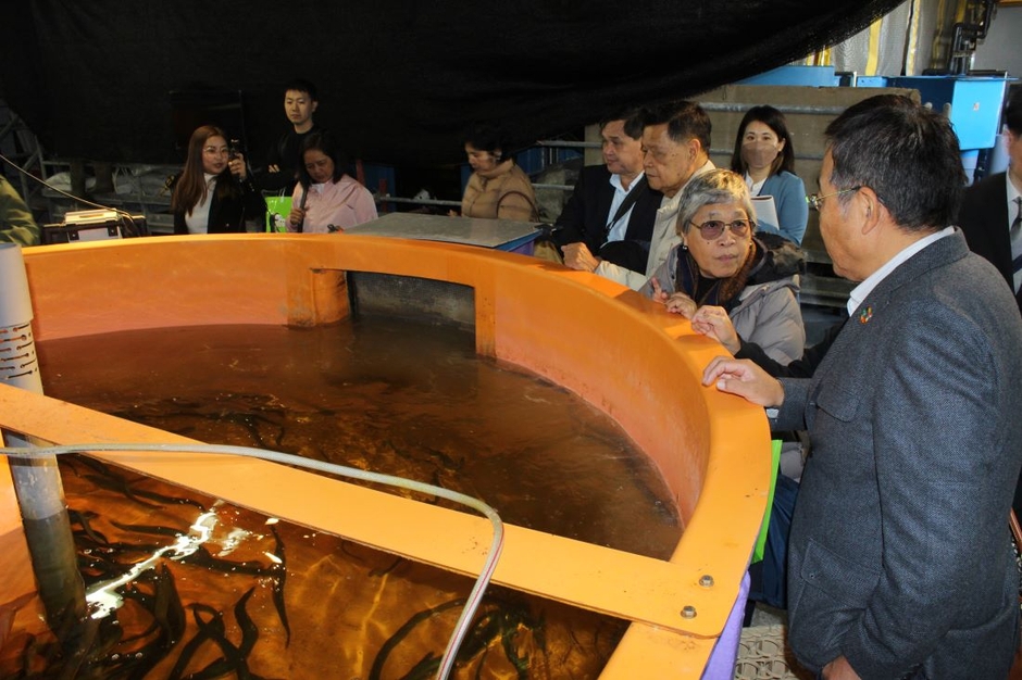 ニホンウナギを養殖している35トン水槽で山本准教授(右端)の説明を聞く一行