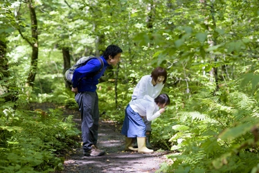 奥入瀬渓流ホテル　苔を通して親子で自然と触れ合う！夏恒例のアクティビティ「苔キッズ」開催　開催期間：2020年8月1日～31日