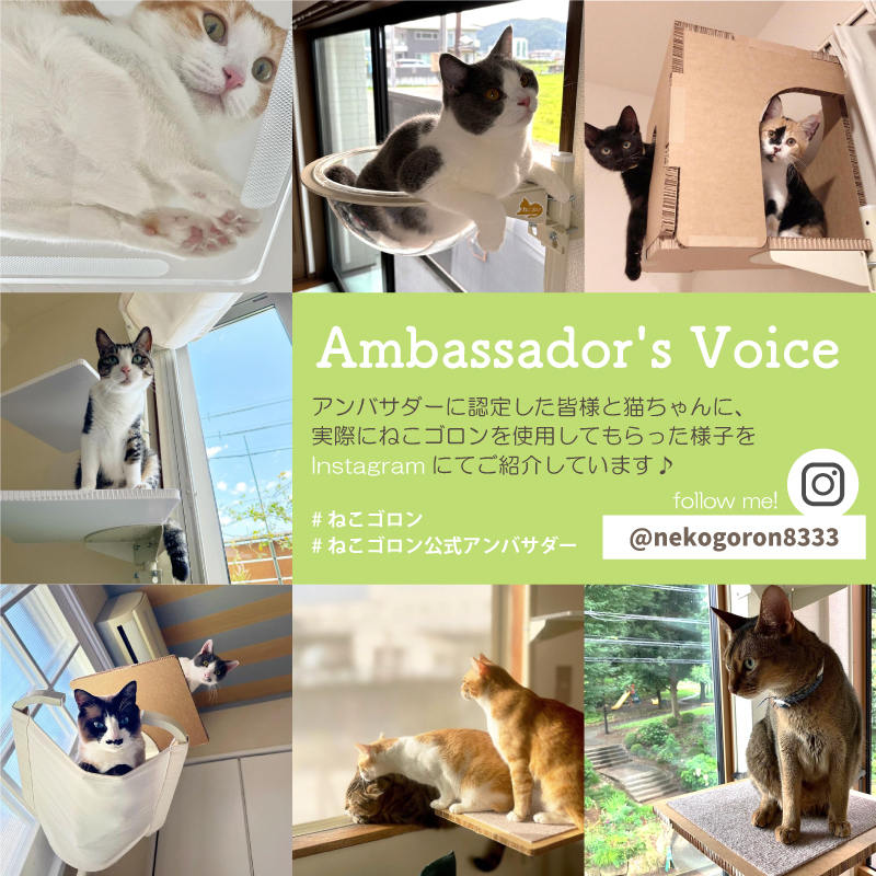 Instagramをチェック