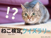 ねこ検定クイズラリー