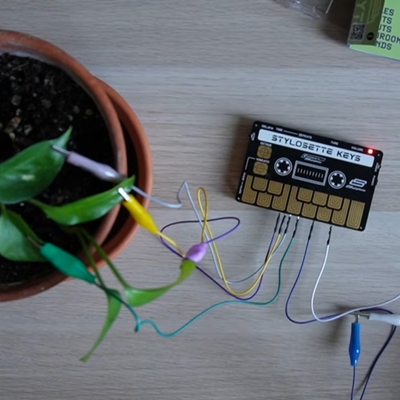 植物で演奏