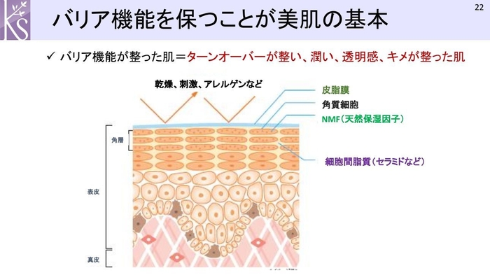 慶田先生発表時のスライド