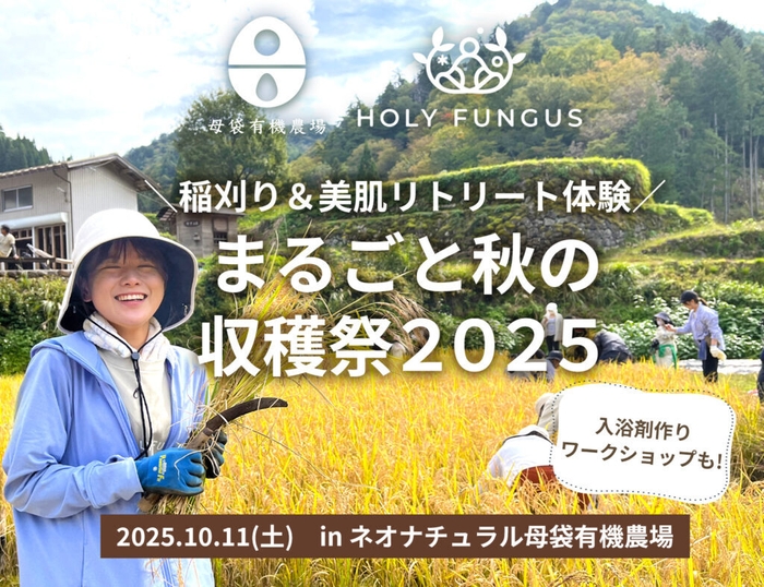 昔ながらの手刈りや、はさがけも体験できる