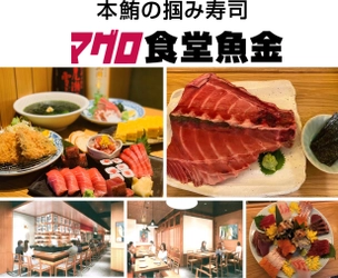 日本の食文化『マグロ』を救え！ 10/1(木)魚金の新業態『マグロ食堂魚金』がOPEN！