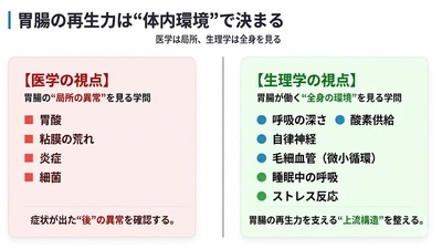胃・腸の不調──解消のカギは再生力