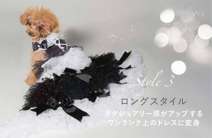 変化(3)犬のドレスmiracle tissue