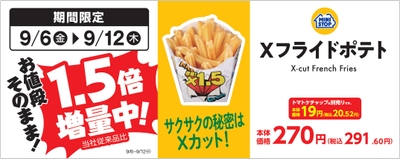 Xフライドポテト 販促画像 (イメージ画像)