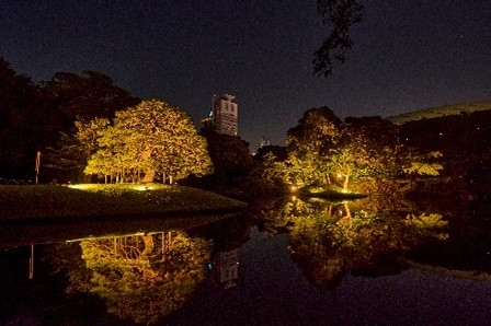 園内ライトアップ（イメージ）