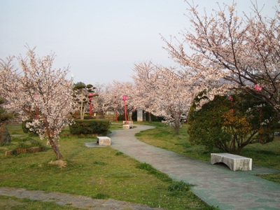 御手洗池公園