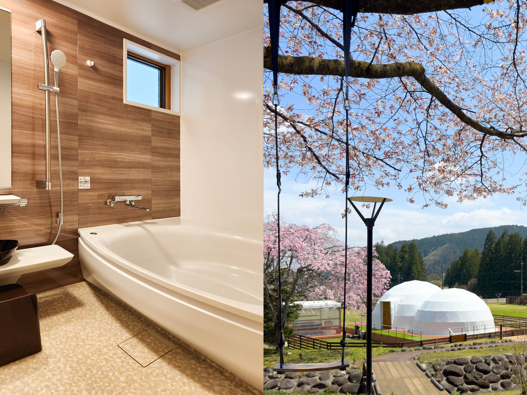 貸切風呂&桜
