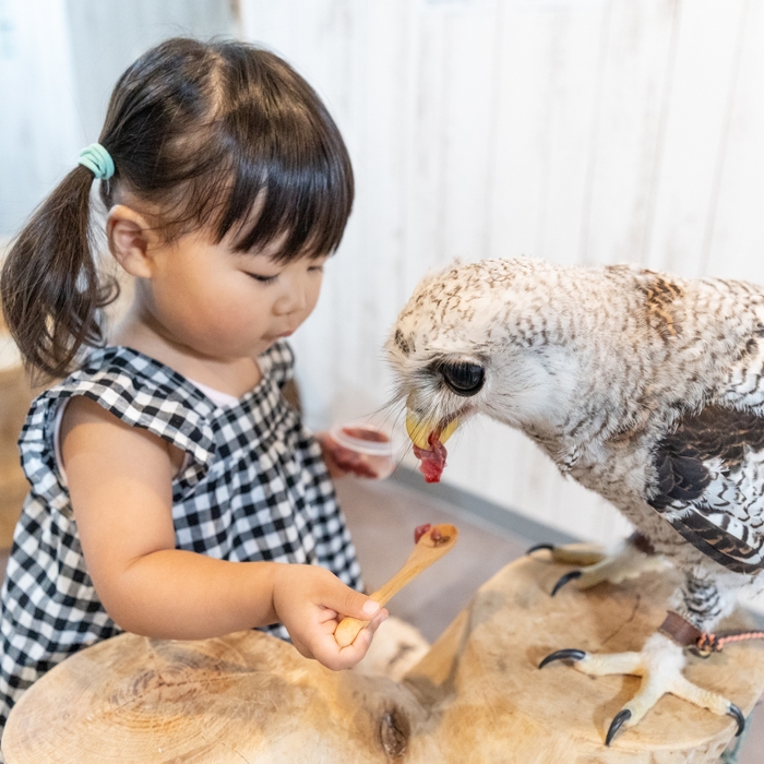 お子様も楽しめる餌やり体験!