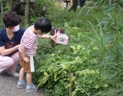 昨年の「放虫式(ほうちゅうしき)」の様子