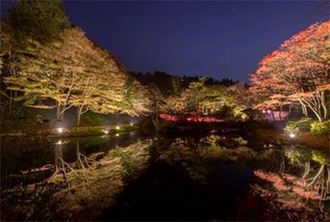 ライトアップされた紅葉とアートを楽しむ 六甲高山植物園　夜の紅葉散策 10月19日(金)～11月11日(日)開催！