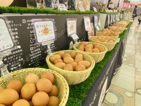 玉子店 Mukashi no Aji Tamago Nojyo Chokubaijyo (Egg direct sales