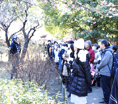 庭さんぽ（昨年度の様子）