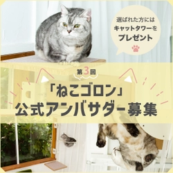 窓枠に付けるキャットタワー！Instagramにて『ねこゴロン』 第3回公式アンバサダーを5月8日から5月21日まで募集