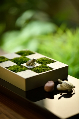 使用例 苔庭に佇む蛙